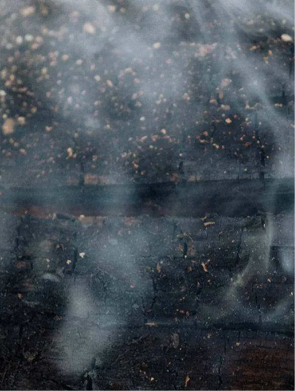 Ulei pentru Barba cu Cannabidiol